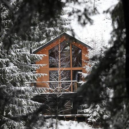 Шале Dereva Yablunytsya Exterior foto