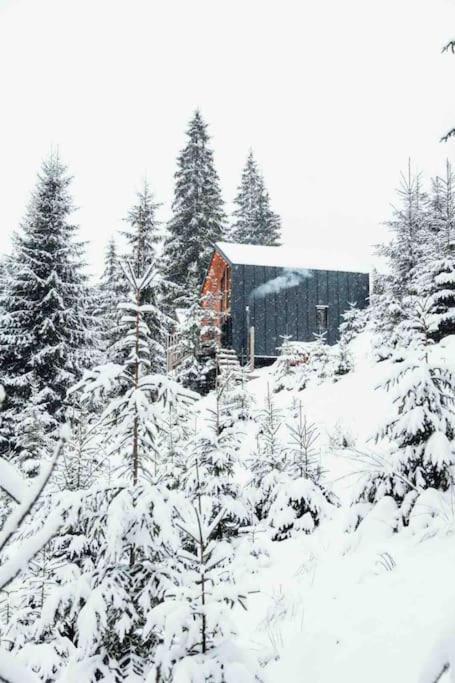 Шале Dereva Yablunytsya Exterior foto